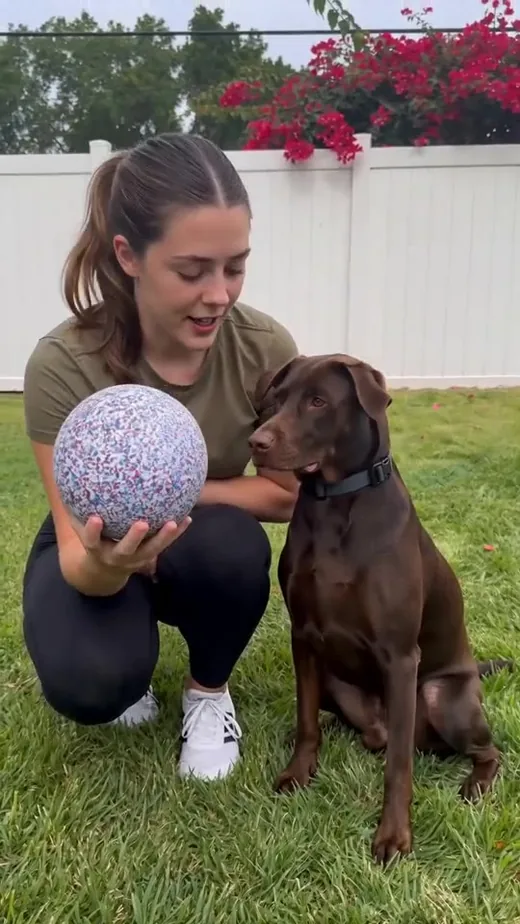 Ball In, Dog Goes — First Reaction